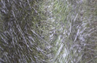 Blanchland fibreglass roof work